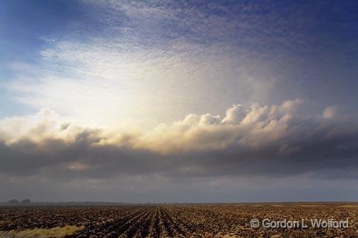 Cloud Over A Field_31697.jpg - Photographed along the Gulf coast near La Ward, Texas, USA.